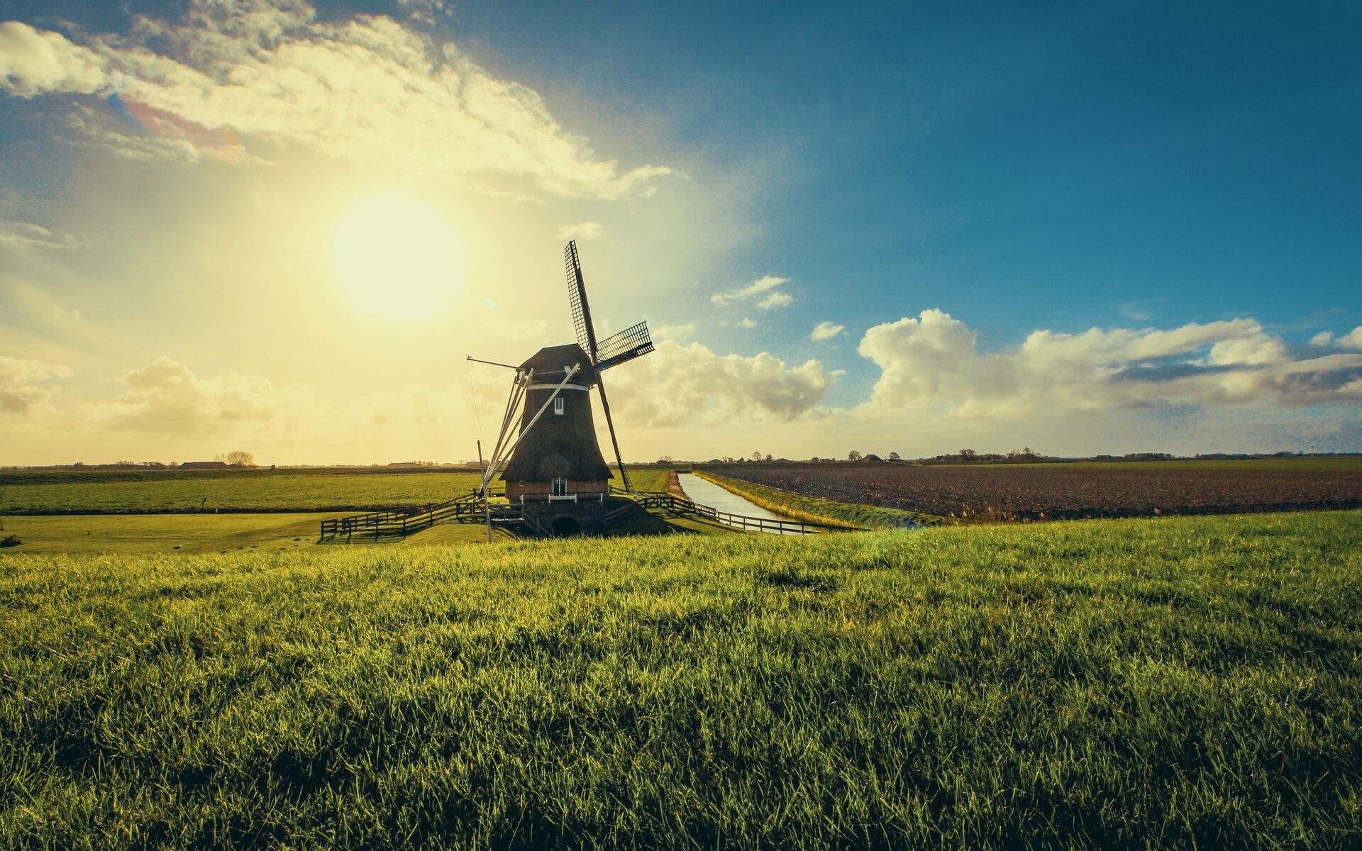 Windmolen in het landschap